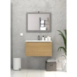 Specchio Reversibile Con Cornice Silver 80x65 Cm E Lampada Led