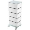 Carrello In Acciaio Cromato E Vetro Con 5 Cassetti Girevoli Arredo Bagno -Villeroyit Negozio 6509623 1