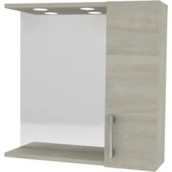 Specchiera Da Bagno Pensile Singolo Cm 58 X 16 X H.57 - Rovere Grigio